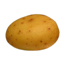 Aloo