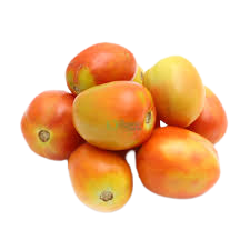 Tomato Hybrid