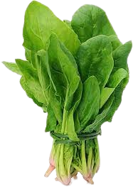 Palak