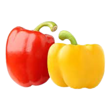 Shimla Red & Yellow