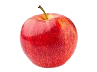 Apple Regular