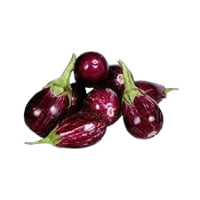Bringal Chu- Chu